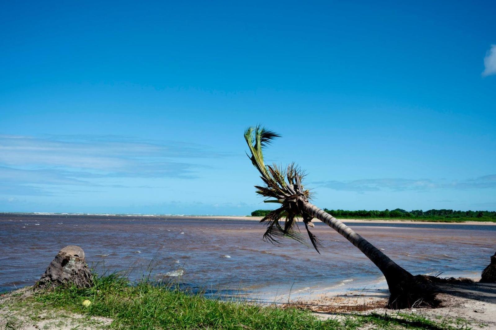 Bangalo Verde Recanto Uana - 280M Praia Tatuamunha Maceio Dış mekan fotoğraf