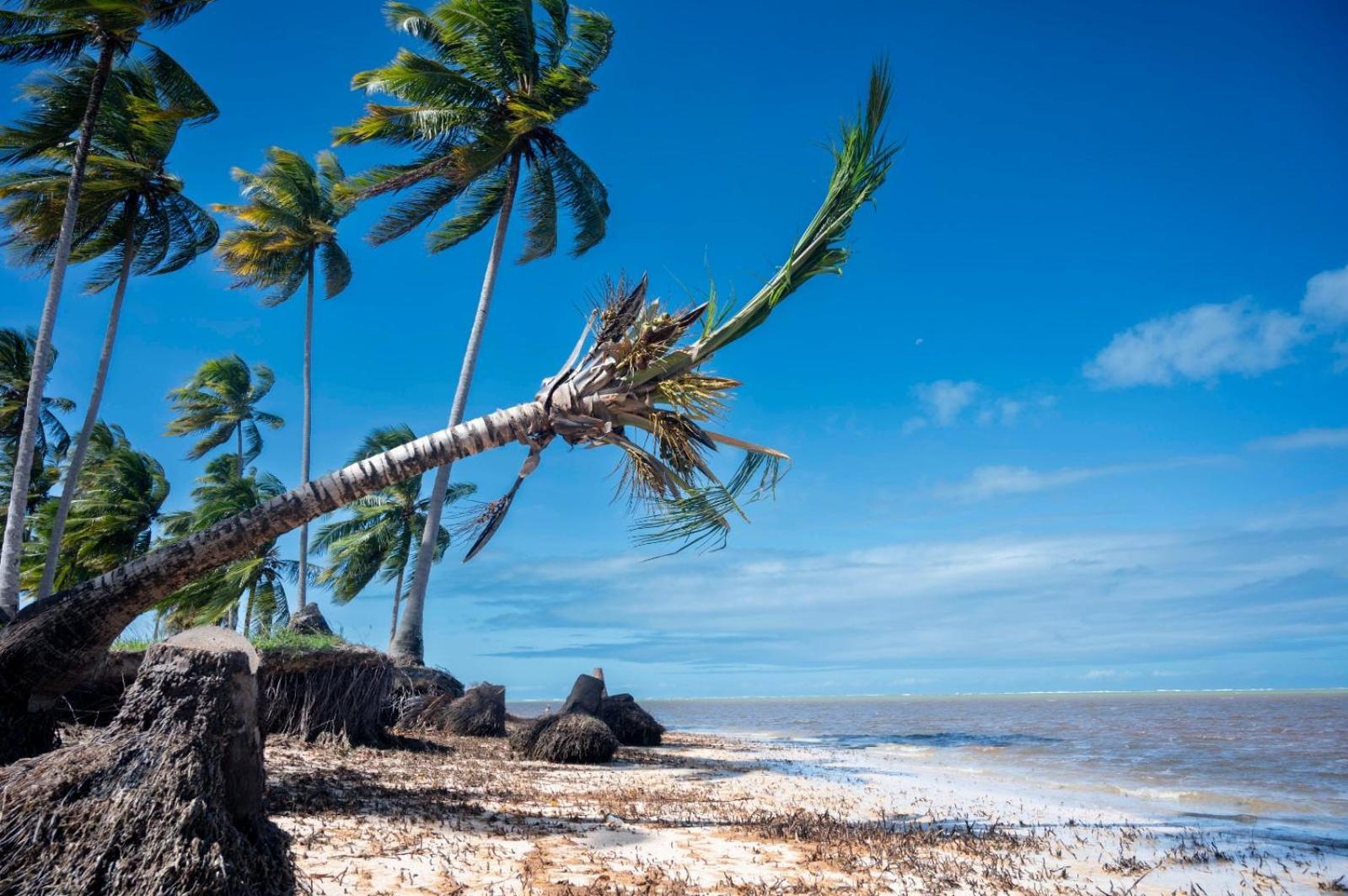 Bangalo Verde Recanto Uana - 280M Praia Tatuamunha Maceio Dış mekan fotoğraf